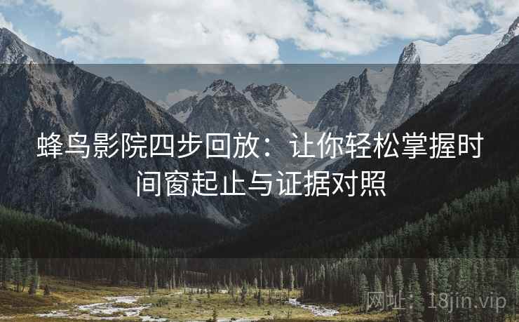 蜂鸟影院四步回放：让你轻松掌握时间窗起止与证据对照