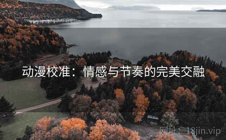 动漫校准：情感与节奏的完美交融