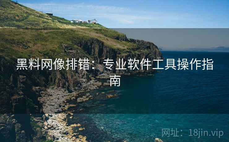 黑料网像排错：专业软件工具操作指南